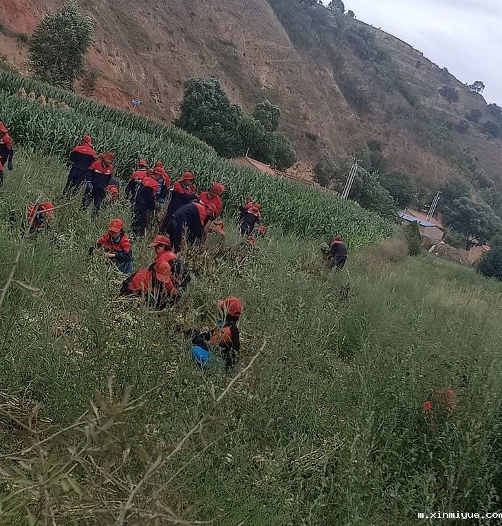 2021年必威betway中文官网夏令营第三期第17天：纸上得来终觉浅，绝知此事要躬行_m.xinmiyue.com