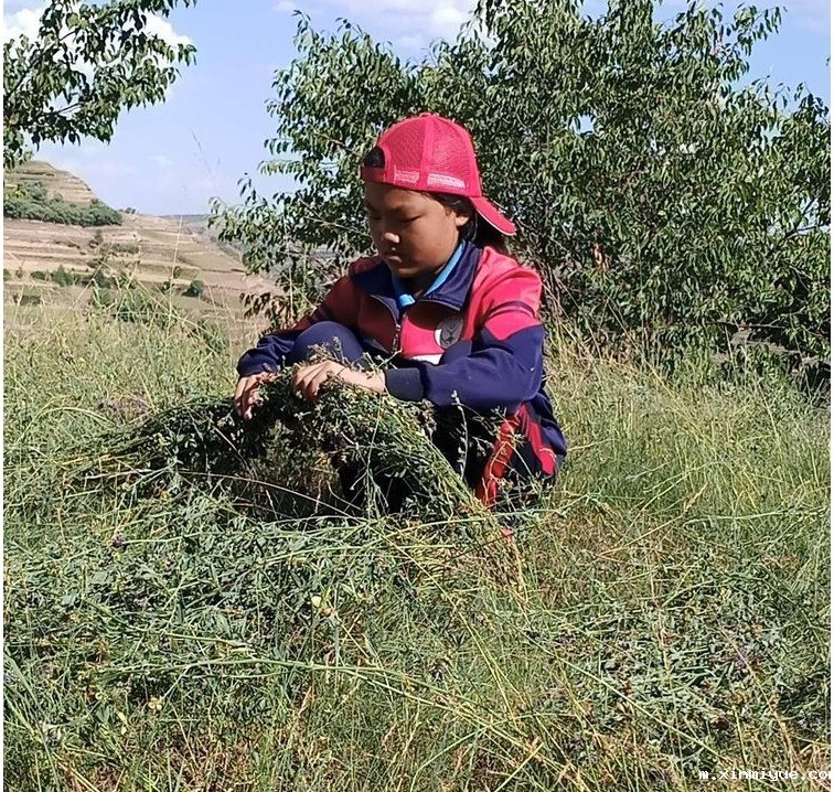 2021年必威betway中文官网夏令营第三期第4天：趁着年轻多吃一点苦有好处_m.xinmiyue.com