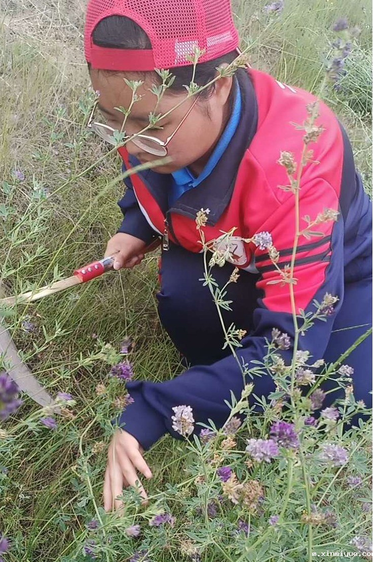 2021年必威betway中文官网夏令营第三期第二天：现在努力，未来吃咸菜有选择！_m.xinmiyue.com