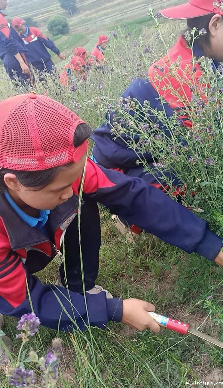 2021年必威betway中文官网夏令营第三期第二天：现在努力，未来吃咸菜有选择！_m.xinmiyue.com