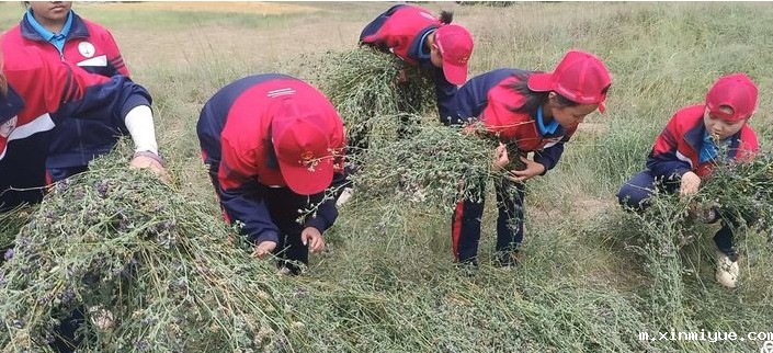 2021年必威betway中文官网夏令营第三期第二天：现在努力，未来吃咸菜有选择！_m.xinmiyue.com