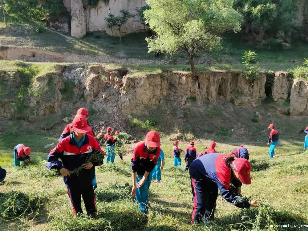 2021年青少年为何一定要参加暑期吃苦夏令营_m.xinmiyue.com