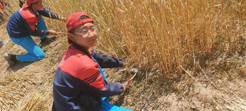 2021年青少年为何一定要参加暑期吃苦夏令营_m.xinmiyue.com