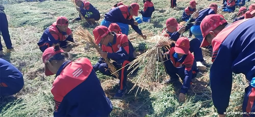 2021年青少年为何一定要参加暑期吃苦夏令营_m.xinmiyue.com