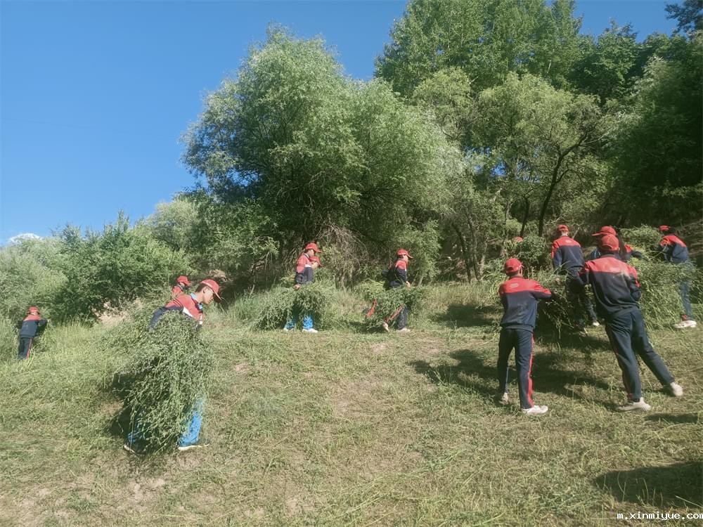 2021年青少年为何一定要参加暑期吃苦夏令营_m.xinmiyue.com