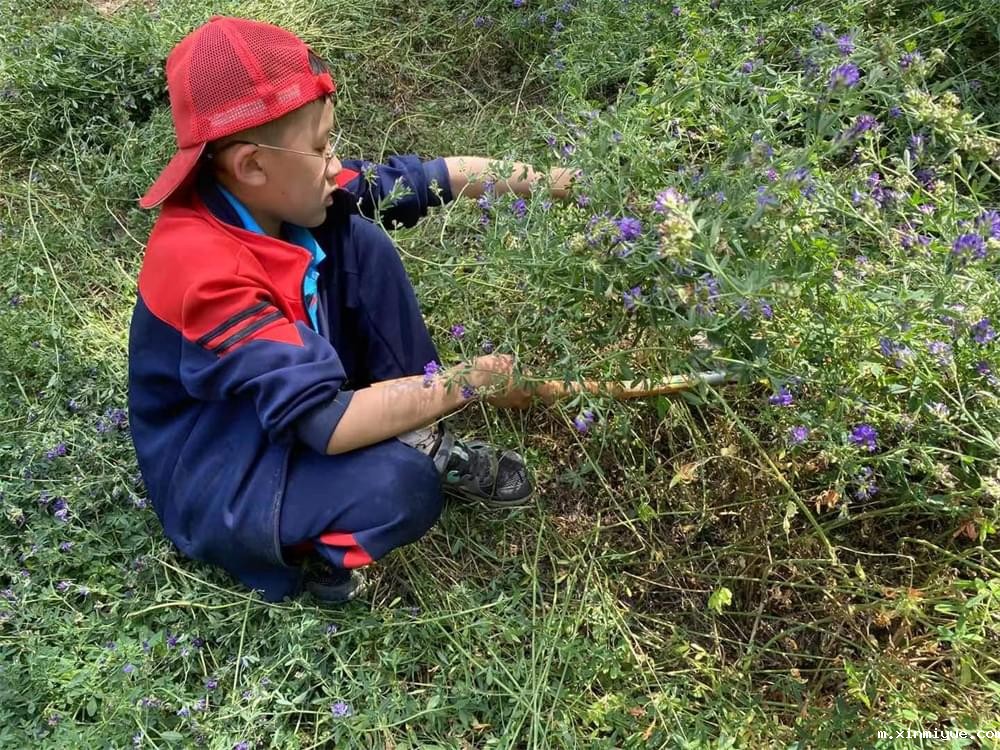 2021年青少年为何一定要参加暑期吃苦夏令营_m.xinmiyue.com