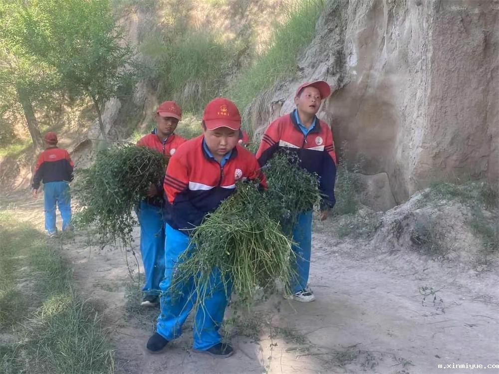 2021年青少年为何一定要参加暑期吃苦夏令营_m.xinmiyue.com