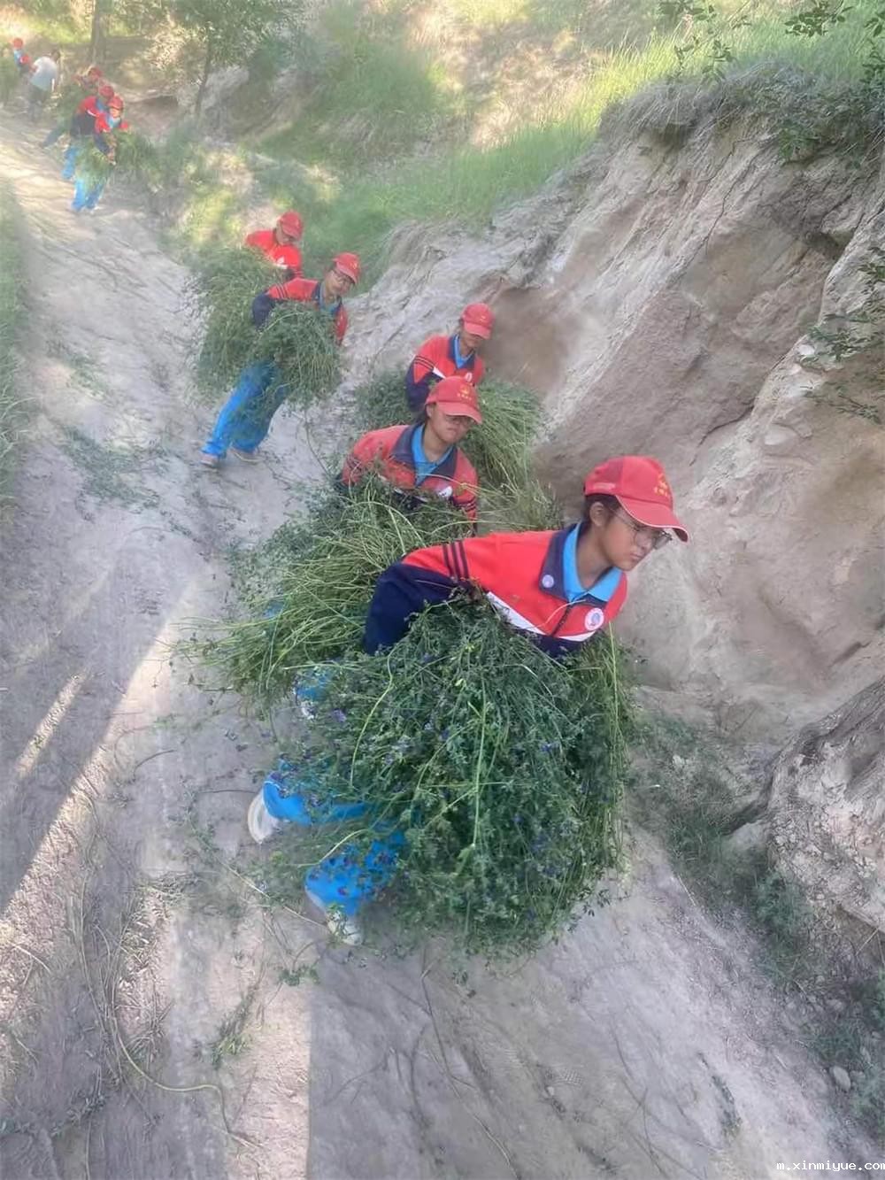 2021年青少年为何一定要参加暑期吃苦夏令营_m.xinmiyue.com