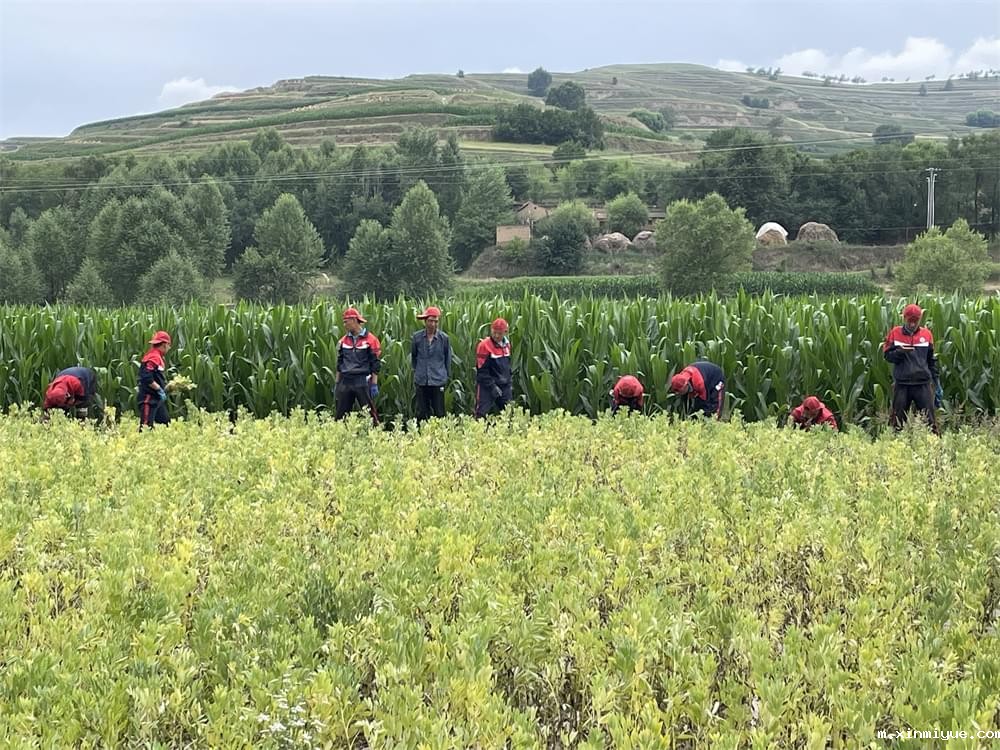 2021年青少年为何一定要参加暑期吃苦夏令营_m.xinmiyue.com