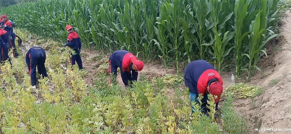 2021年青少年为何一定要参加暑期吃苦夏令营_m.xinmiyue.com