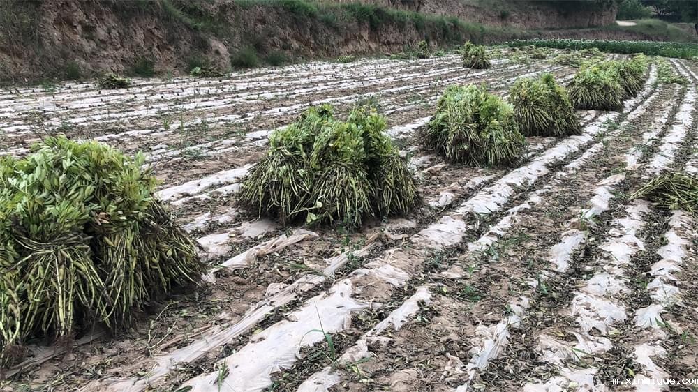 2021年青少年为何一定要参加暑期吃苦夏令营_m.xinmiyue.com