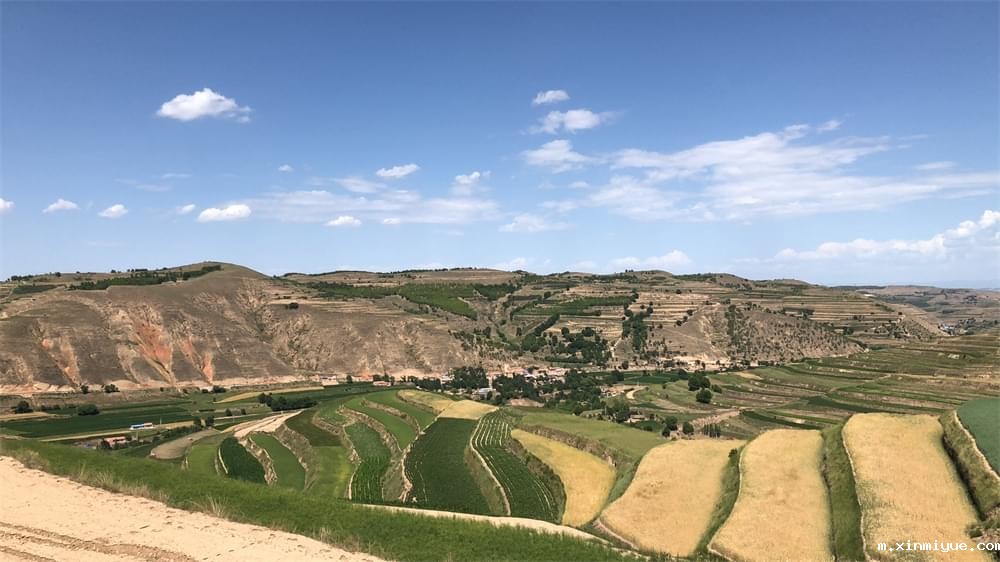 2021年青少年为何一定要参加暑期吃苦夏令营_m.xinmiyue.com