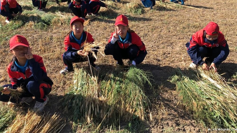 2021年青少年为何一定要参加暑期吃苦夏令营_m.xinmiyue.com