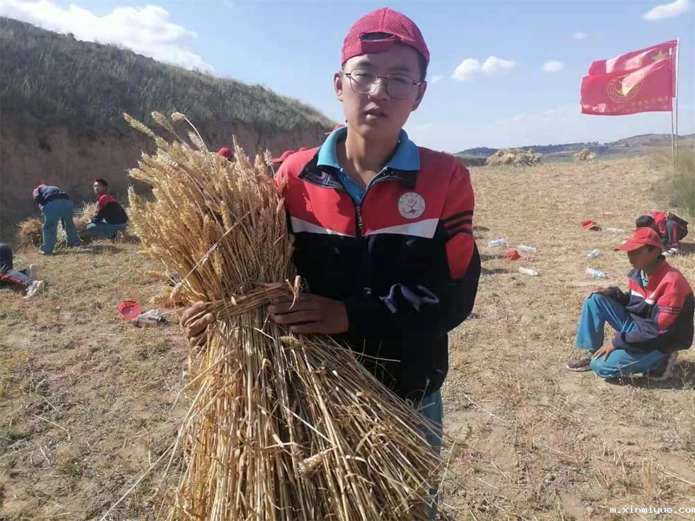 2021年青少年为何一定要参加暑期吃苦夏令营_m.xinmiyue.com