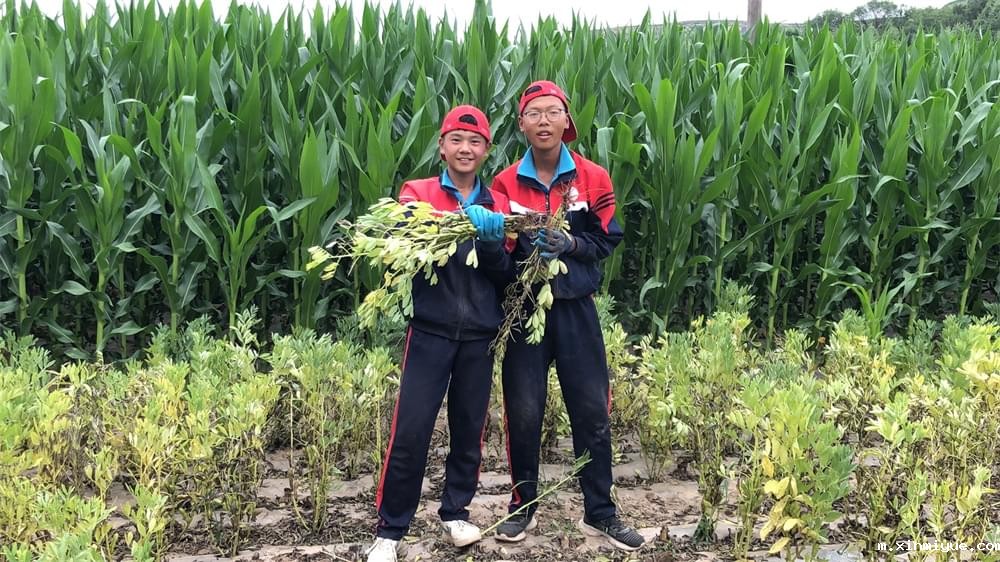 2021年青少年为何一定要参加暑期吃苦夏令营_m.xinmiyue.com