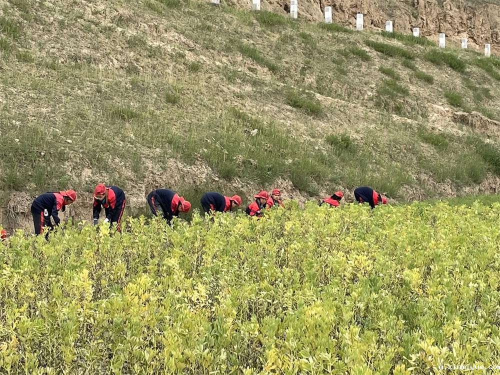 2021年青少年为何一定要参加暑期吃苦夏令营_m.xinmiyue.com