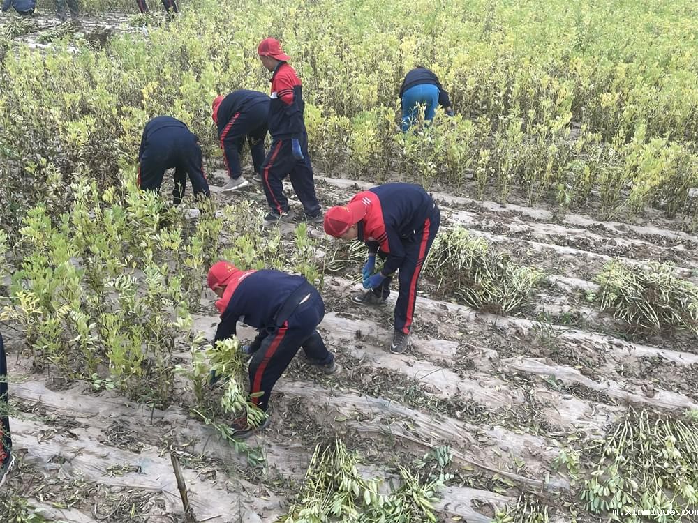 2021年青少年为何一定要参加暑期吃苦夏令营_m.xinmiyue.com