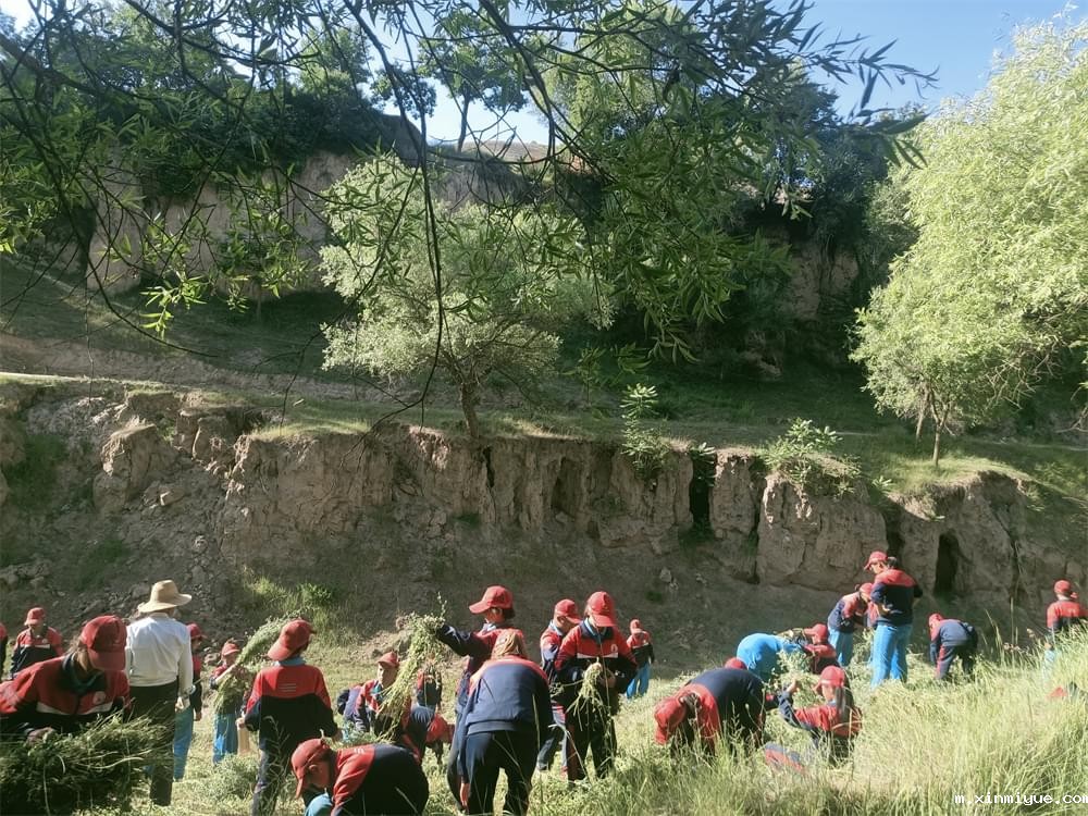 2021年青少年为何一定要参加暑期吃苦夏令营_m.xinmiyue.com