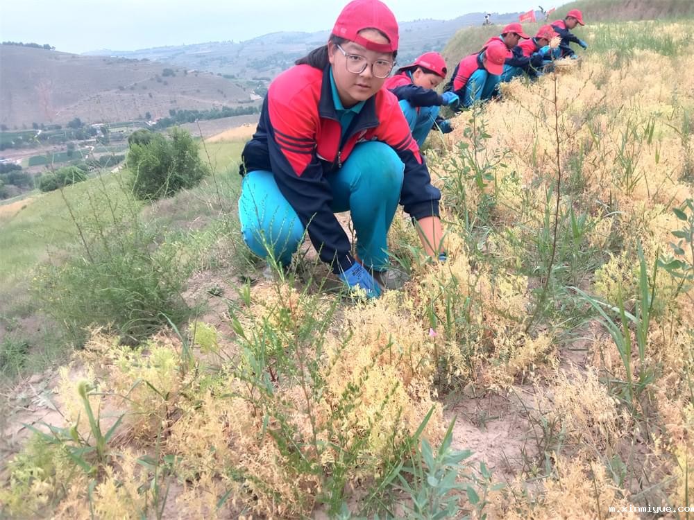 2021年青少年为何一定要参加暑期吃苦夏令营_m.xinmiyue.com