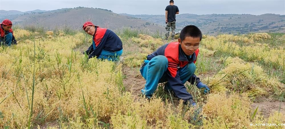 2021年青少年为何一定要参加暑期吃苦夏令营_m.xinmiyue.com