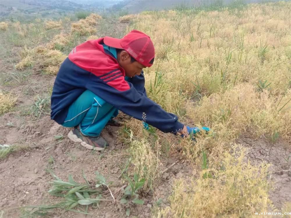 2021年青少年为何一定要参加暑期吃苦夏令营_m.xinmiyue.com