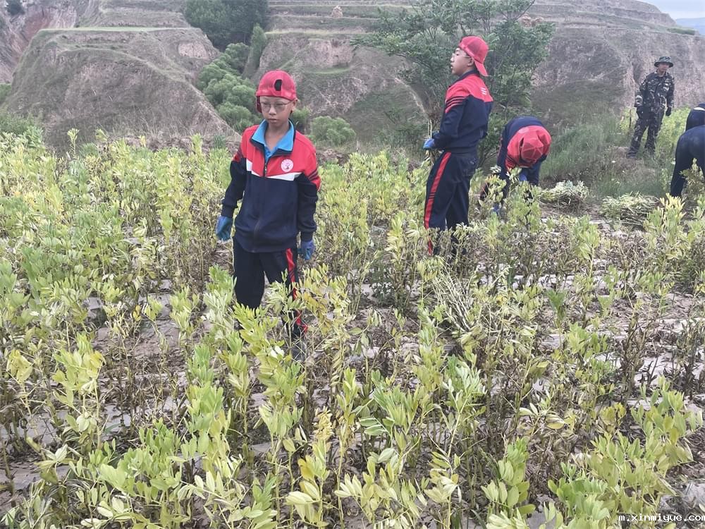 2021年青少年为何一定要参加暑期吃苦夏令营_m.xinmiyue.com