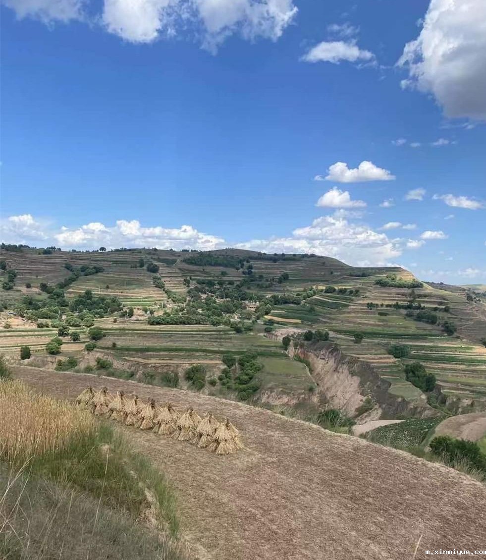 2021年青少年为何一定要参加暑期吃苦夏令营_m.xinmiyue.com