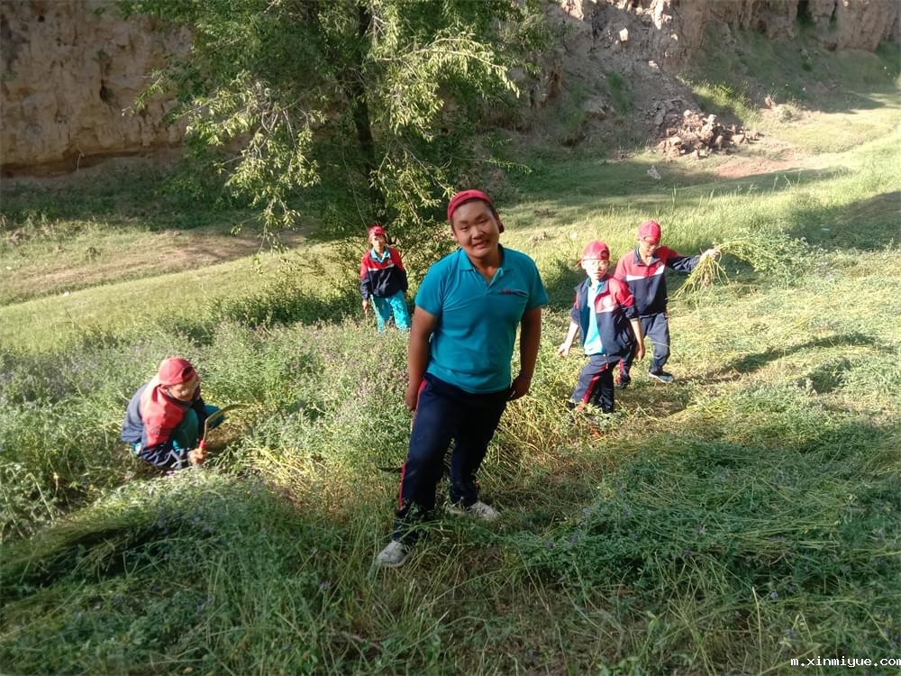 2021年青少年为何一定要参加暑期吃苦夏令营_m.xinmiyue.com