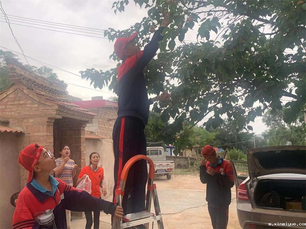 2021年青少年为何一定要参加暑期吃苦夏令营_m.xinmiyue.com