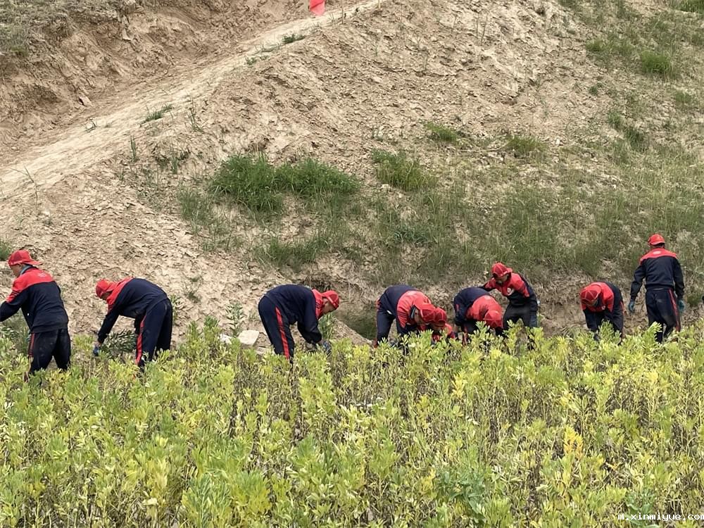 2021年青少年为何一定要参加暑期吃苦夏令营_m.xinmiyue.com