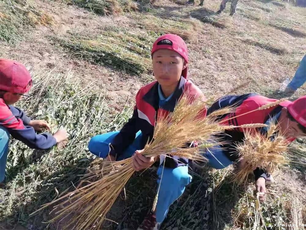 2021年青少年为何一定要参加暑期吃苦夏令营_m.xinmiyue.com