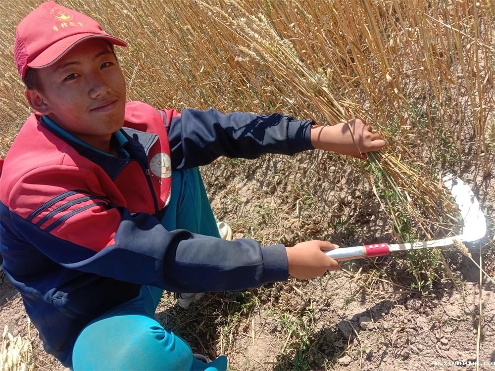 2021年青少年为何一定要参加暑期吃苦夏令营_m.xinmiyue.com