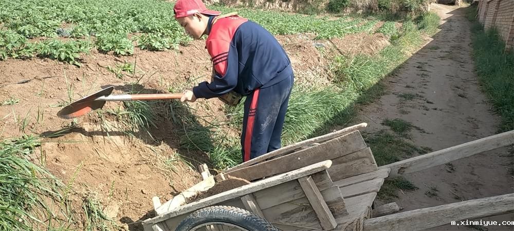 2021年必威betway中文官网暑期夏令营第二期第二天：我们都是修路人_m.xinmiyue.com