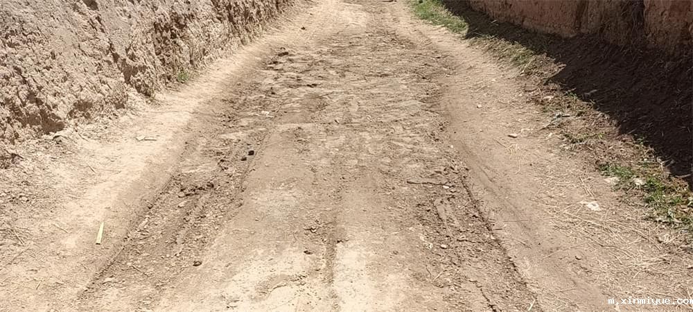 2021年必威betway中文官网暑期夏令营第二期第二天：我们都是修路人_m.xinmiyue.com