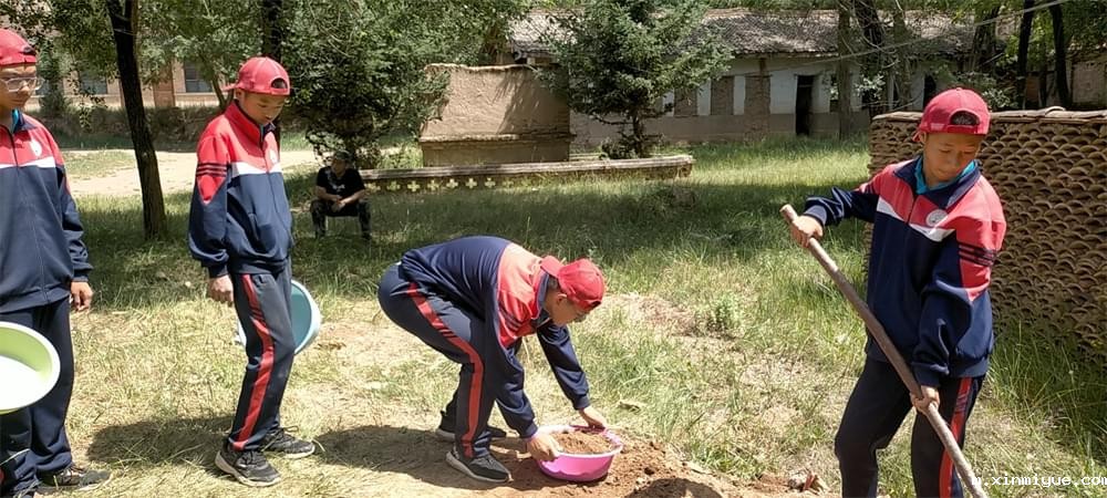 2021年必威betway中文官网暑期夏令营第二期第二天：我们都是修路人_m.xinmiyue.com