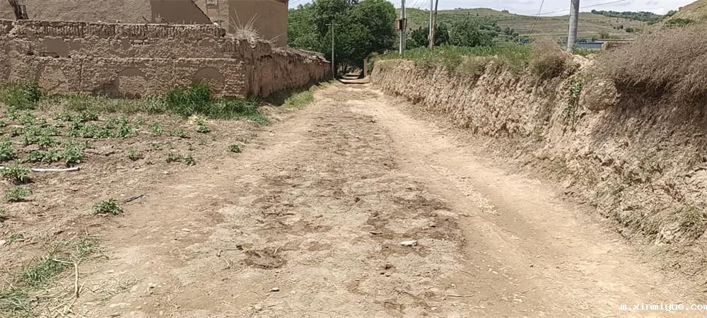 2021年必威betway中文官网暑期夏令营第二期第二天：我们都是修路人_m.xinmiyue.com