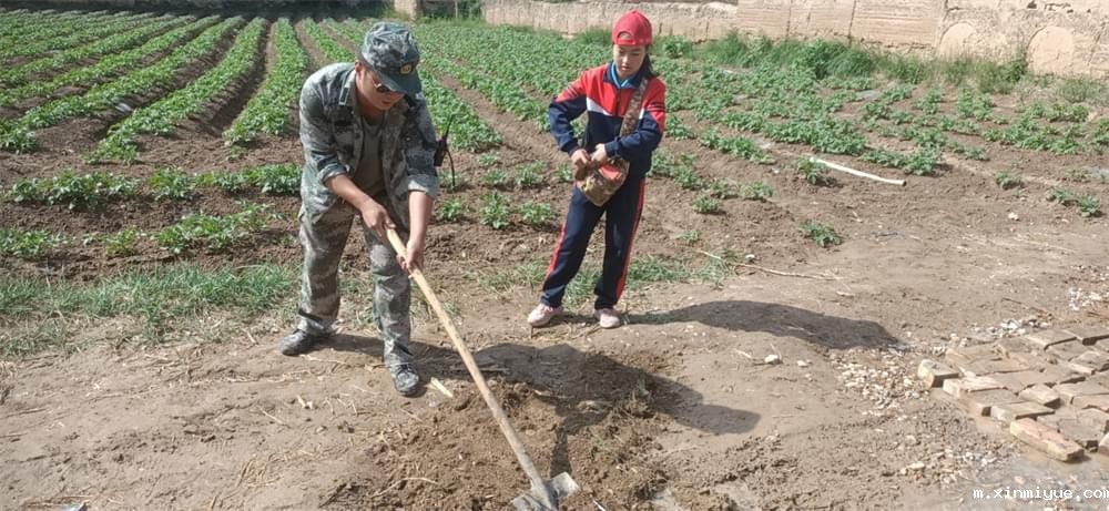 2021年必威betway中文官网暑期夏令营第二期第二天：我们都是修路人_m.xinmiyue.com