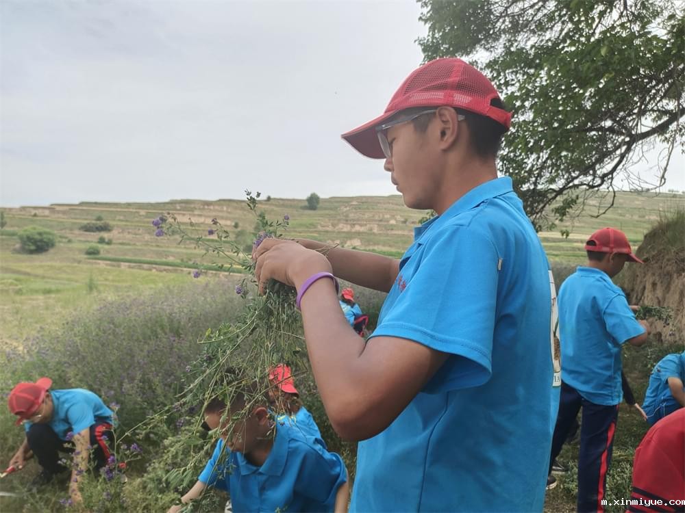 2021年必威betway中文官网暑期夏令营第二期第十一天：红二红三大会师，齐战10亩苜蓿草！_m.xinmiyue.com