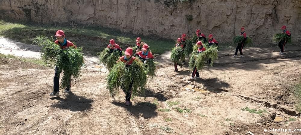 2021年必威betway中文官网暑期夏令营第二期第三天：滴水之恩，割草相报！_m.xinmiyue.com