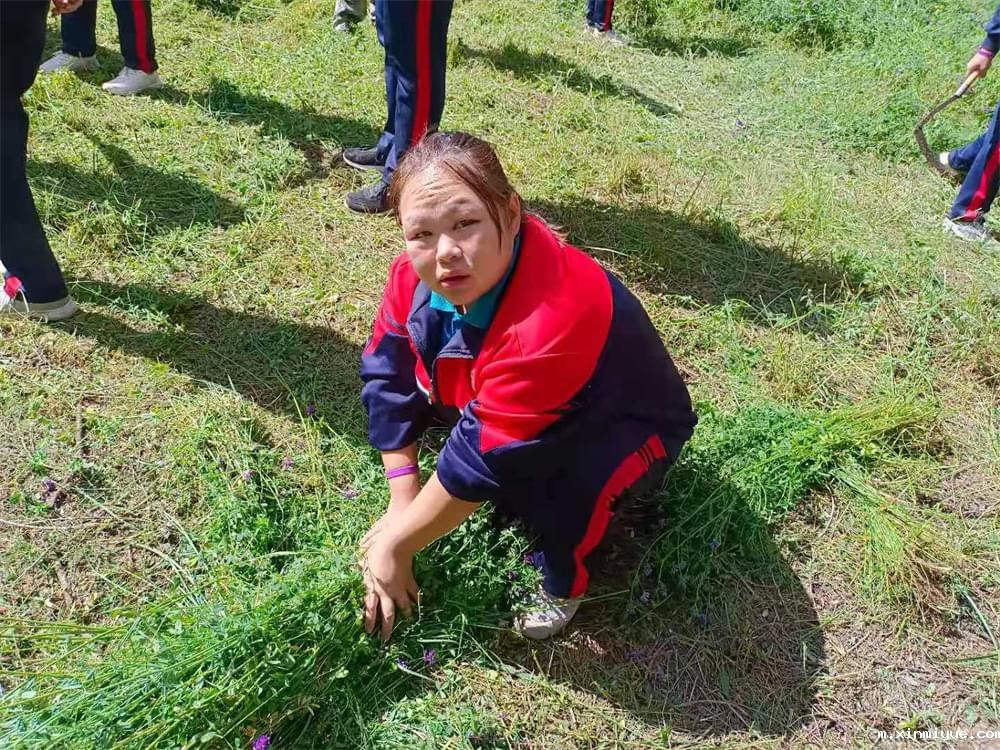 2021年必威betway中文官网暑期夏令营第二期第三天：滴水之恩，割草相报！_m.xinmiyue.com