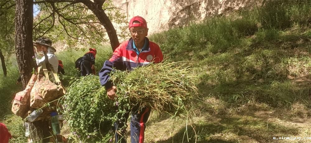 2021年必威betway中文官网暑期夏令营第二期第三天：滴水之恩，割草相报！_m.xinmiyue.com