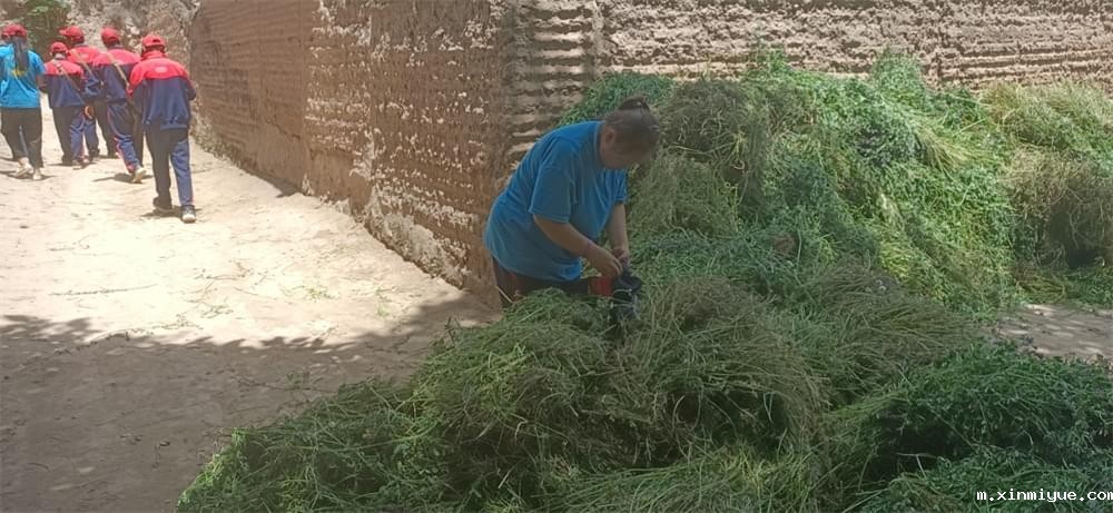 2021年必威betway中文官网暑期夏令营第二期第三天：滴水之恩，割草相报！_m.xinmiyue.com