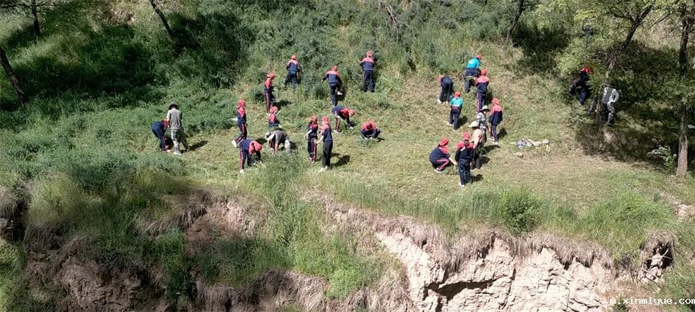 2021年必威betway中文官网暑期夏令营第二期第三天：滴水之恩，割草相报！_m.xinmiyue.com