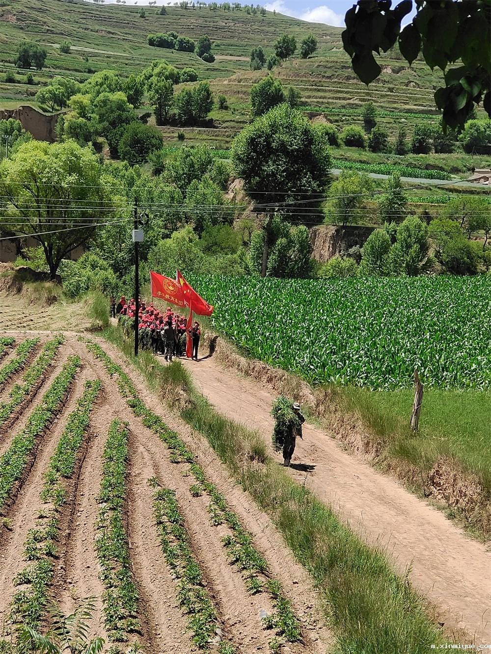 2021年必威betway中文官网暑期夏令营第二期第三天：滴水之恩，割草相报！_m.xinmiyue.com