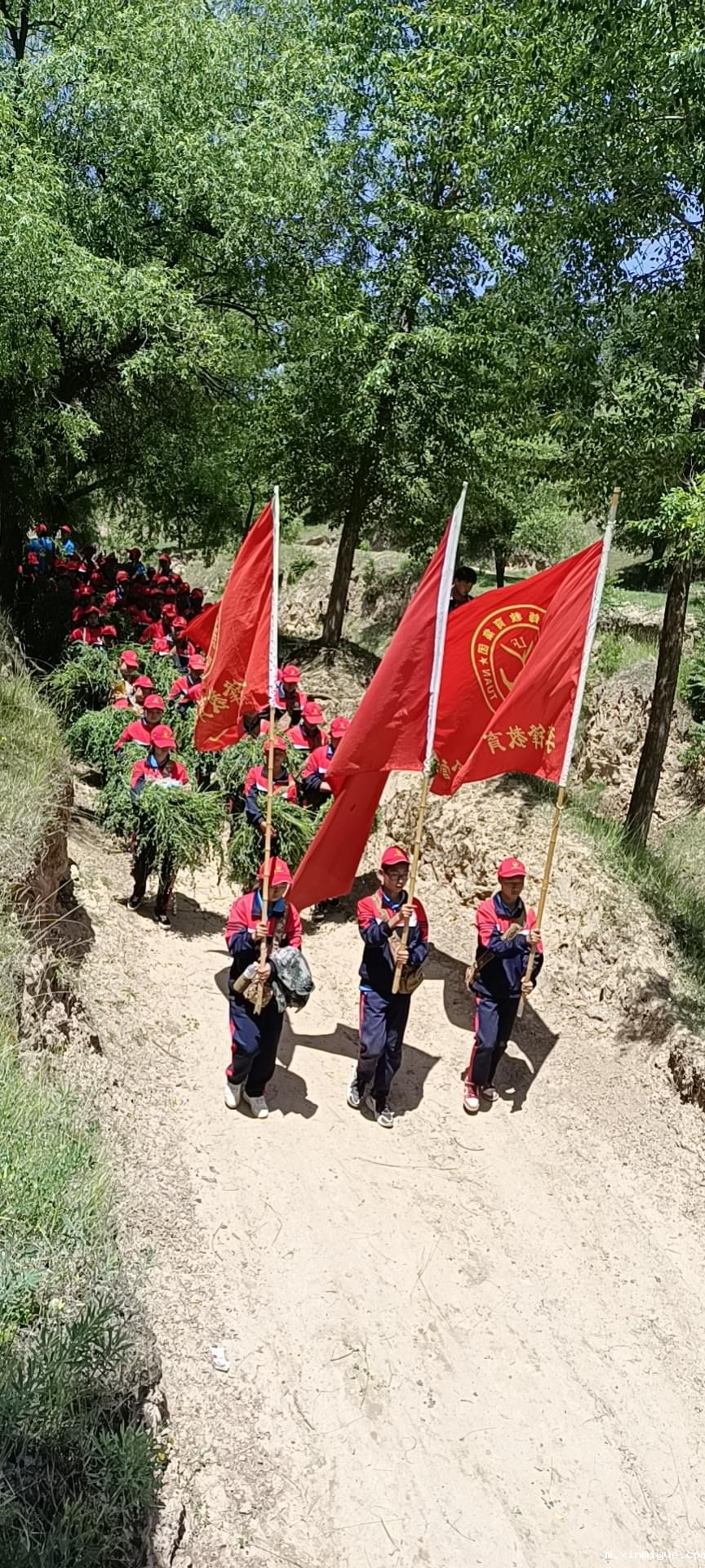 2021年必威betway中文官网暑期夏令营第二期第三天：滴水之恩，割草相报！_m.xinmiyue.com
