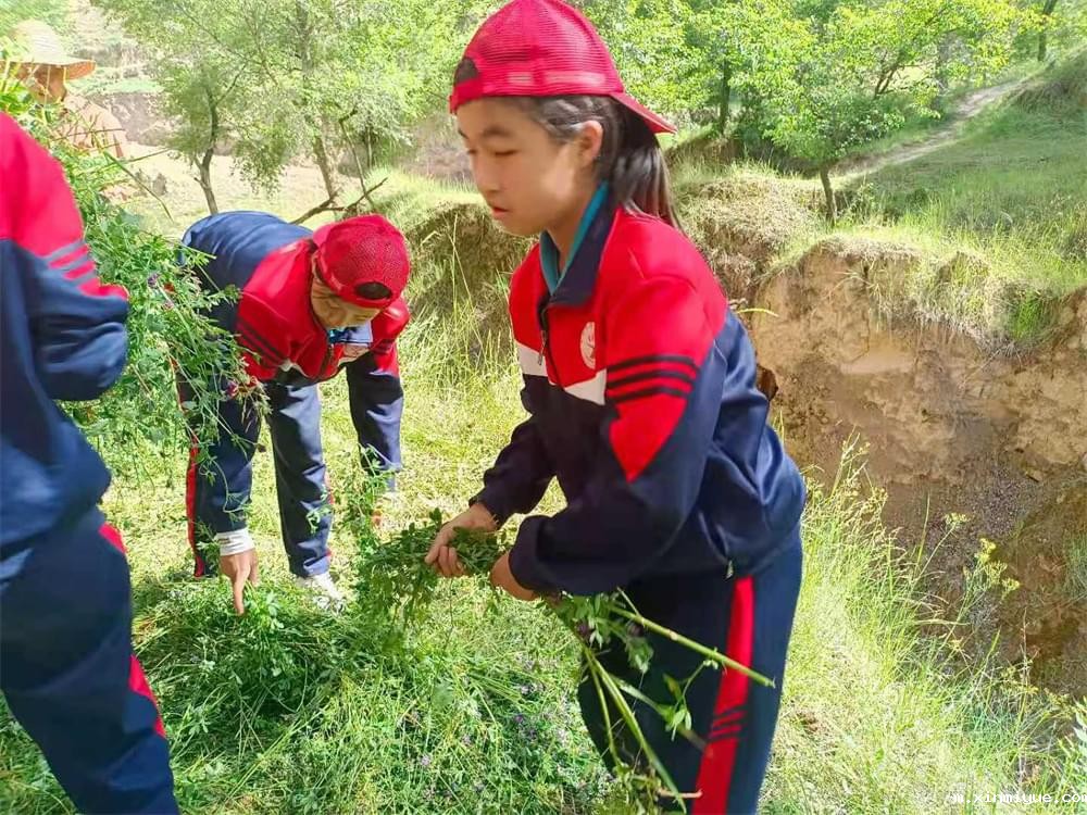 2021年必威betway中文官网暑期夏令营第二期第三天：滴水之恩，割草相报！_m.xinmiyue.com