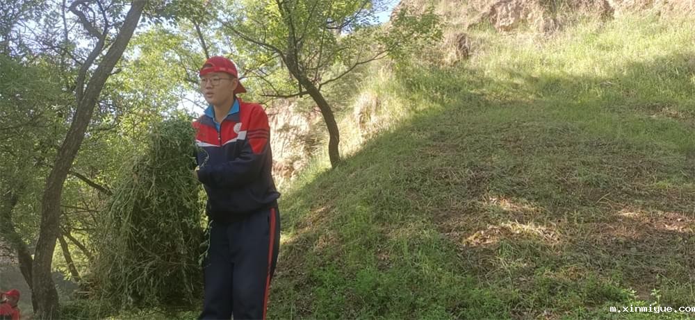 2021年必威betway中文官网暑期夏令营第二期第三天：滴水之恩，割草相报！_m.xinmiyue.com