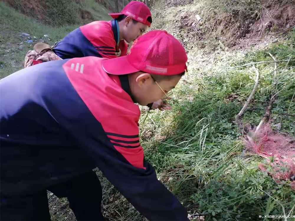 2021年必威betway中文官网暑期夏令营第二期第三天：滴水之恩，割草相报！_m.xinmiyue.com