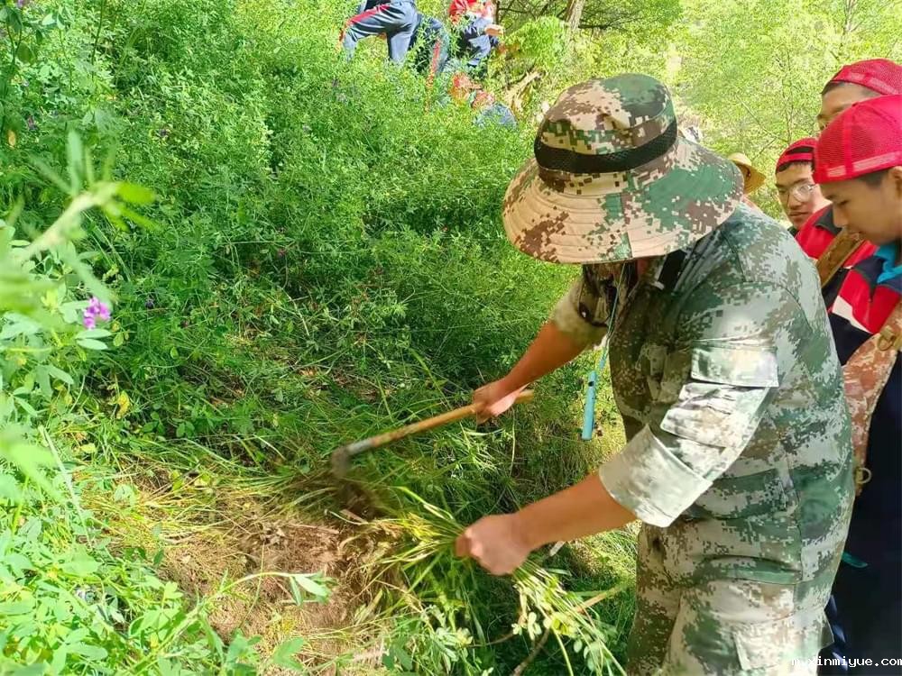 2021年必威betway中文官网暑期夏令营第二期第三天：滴水之恩，割草相报！_m.xinmiyue.com