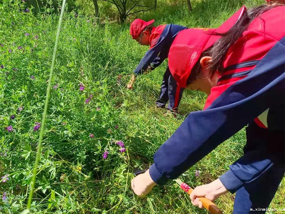 2021年必威betway中文官网暑期夏令营第二期第三天：滴水之恩，割草相报！_m.xinmiyue.com